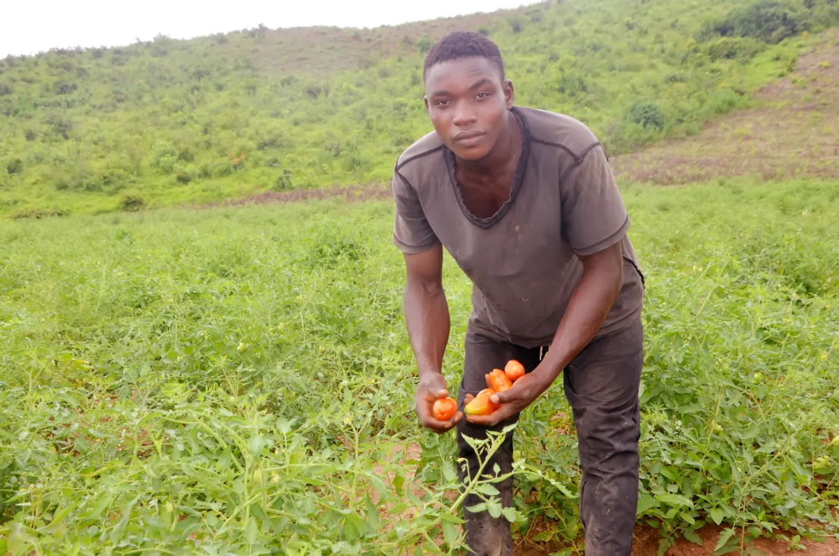 Farmers learning